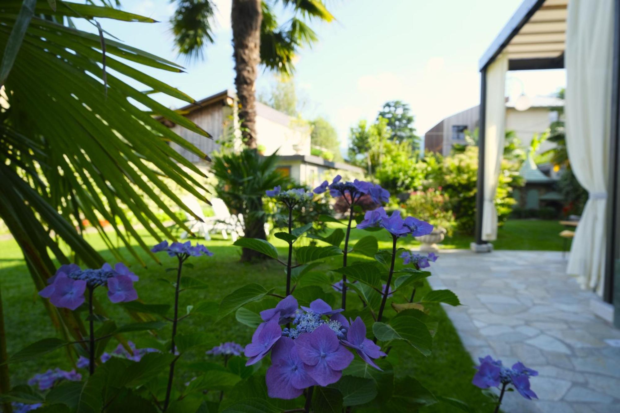 Residenza Laurum Мандельо дел Ларио Екстериор снимка